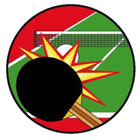 3D-22 настольный теннис